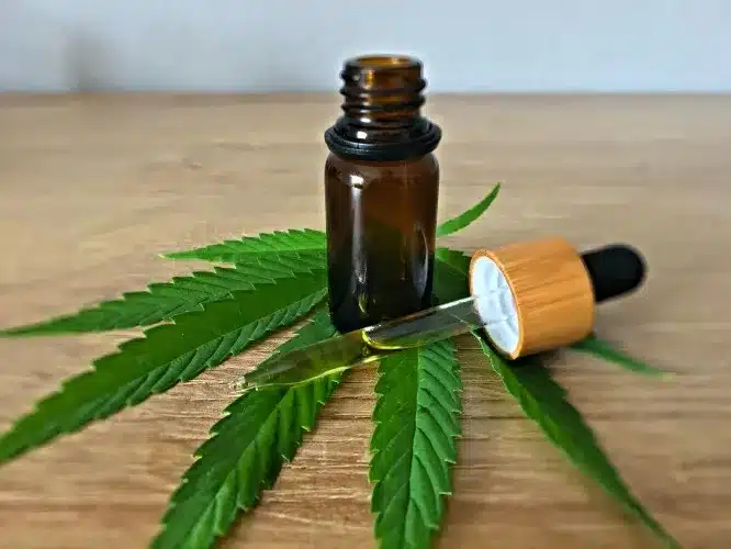 Study Finds Switching to E-Cigarettes Can Improve Lung Health